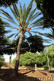 Spencer Beach Park