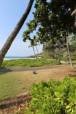 Hapuna Beach State Park