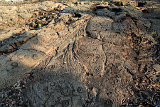 Waikoloa Beach Park Petroglyphs