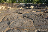 Waikoloa Beach Park Petroglyphs