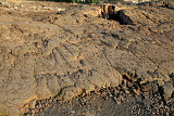 Waikoloa Beach Park Petroglyphs