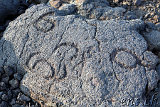 Waikoloa Beach Park Petroglyphs