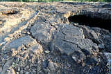 Waikoloa Beach Park Petroglyphs