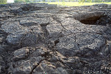 Waikoloa Beach Park Petroglyphs
