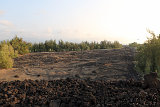 Waikoloa Beach Park Petroglyphs