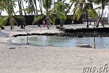 Pu`uhonua O Honaunau-Historical-Park