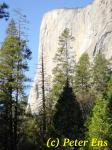  El Cap Richtung Westen 