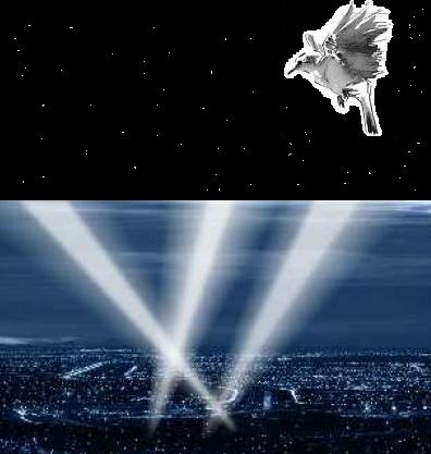  Schreckreaktion beim Einfliegen in starke Lichtkegel 