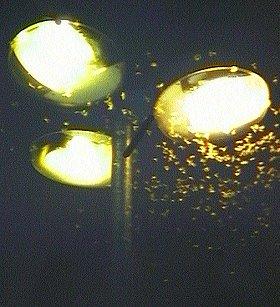  Lichtverschmutzung 