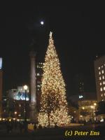 Mond, San Francisco