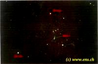  Orion mit M42 und Sirius 