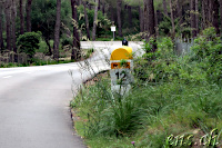 km12 @ Ma-2210 @ "Pi de la Senyora"