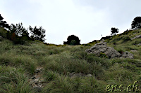 ... near the plateau ;-)