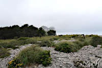 ... on the plateau - but not yet on El Pal ;-)