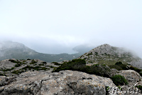 ... the way back