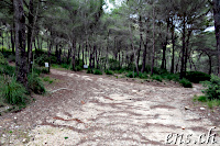 ... the way back