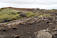 ... the way to the summit