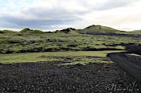 ... back to Kirkjubæjarklaustur