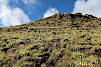 walking up ...