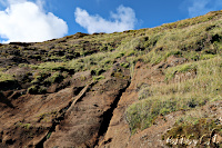 walking up ...