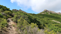 Walking up ...