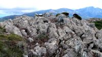 ... on the Top of TK/TK-116